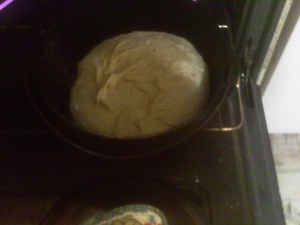 IMAG0159 Clost it up & bake for 30 min.