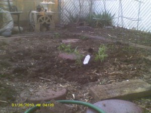 & a purple surprise hiding 