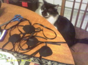 My assistant Posh approves. 