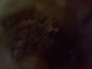 Kitchen towels first 